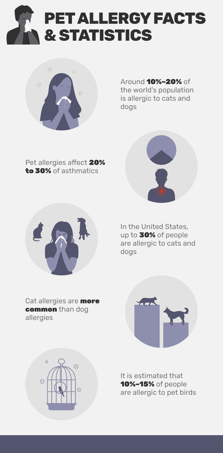 How Many People are Allergic to Cats, Dogs & Other Pets? Statistics