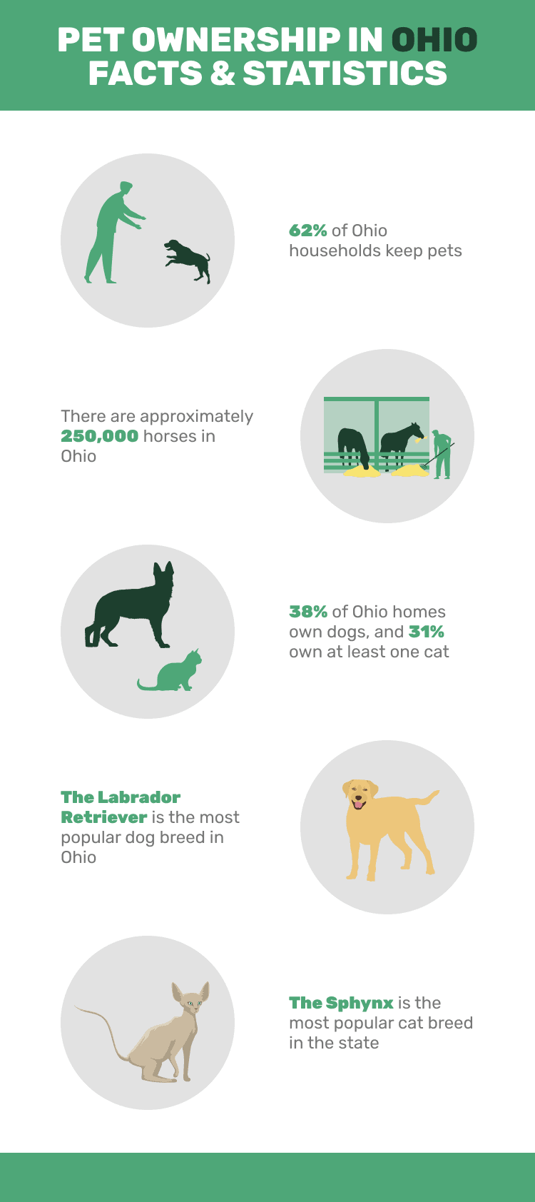 19 Pet Ownership Statistics In Ohio (Updated In 2024) Dogster