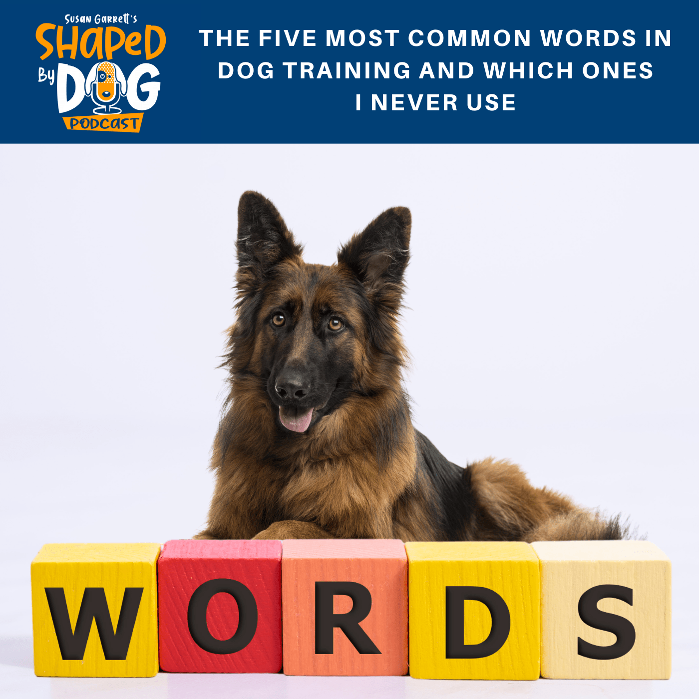 What Is A Release Word In Dog Training