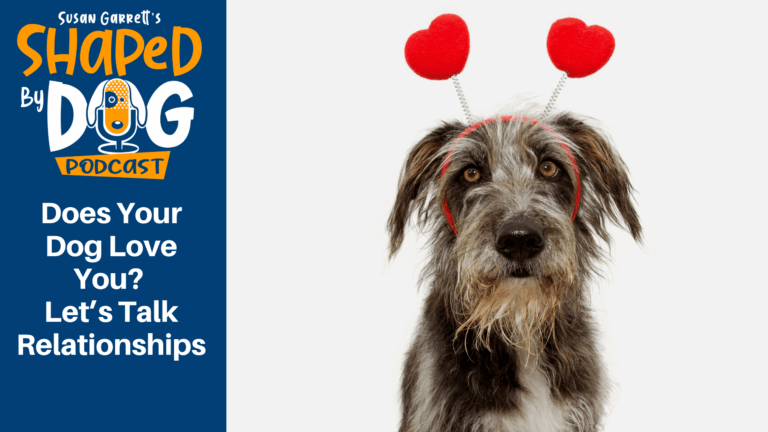 Transcript of Episode 80 Does Your Dog Love You? Let’s