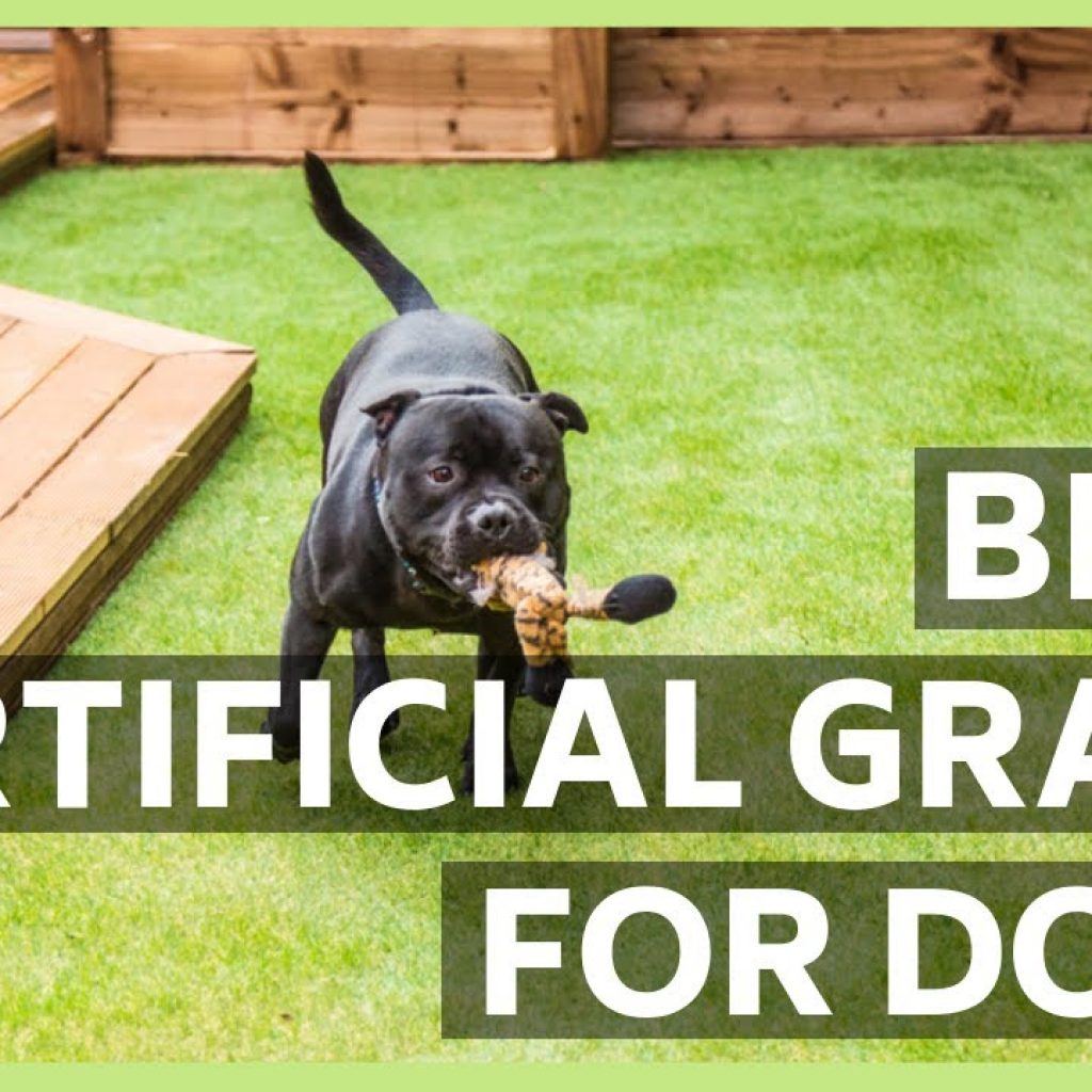 7 Best Artificial Grass For Dogs Reviews