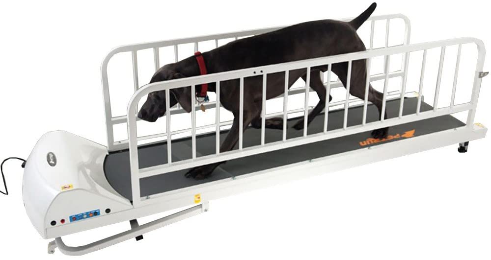 The Top 7 Dog Treadmills 2020 Best Dog Strollers 2020