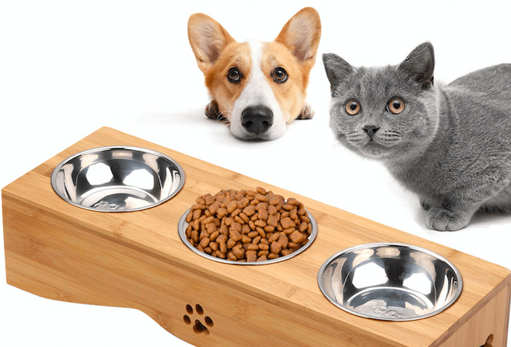 can cat eat dog food difference between dog food and cat