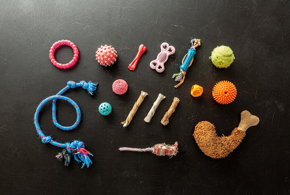 What Can I Freeze for My Teething Puppy?