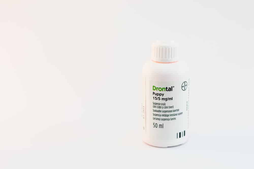 How Much Does It Cost to Deworm a Puppy?