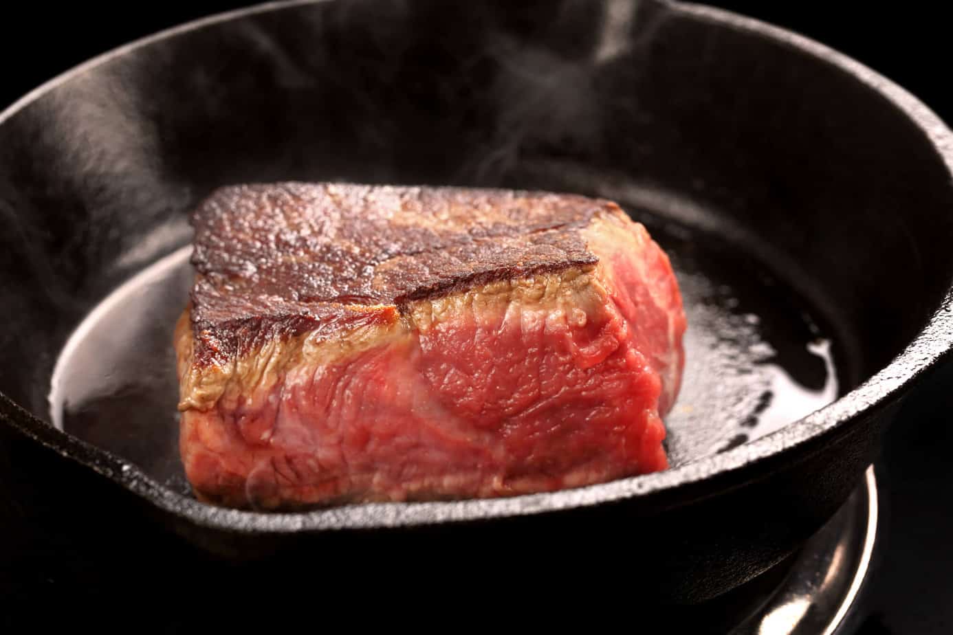 What Is The Best Cut of Steak for Dogs?