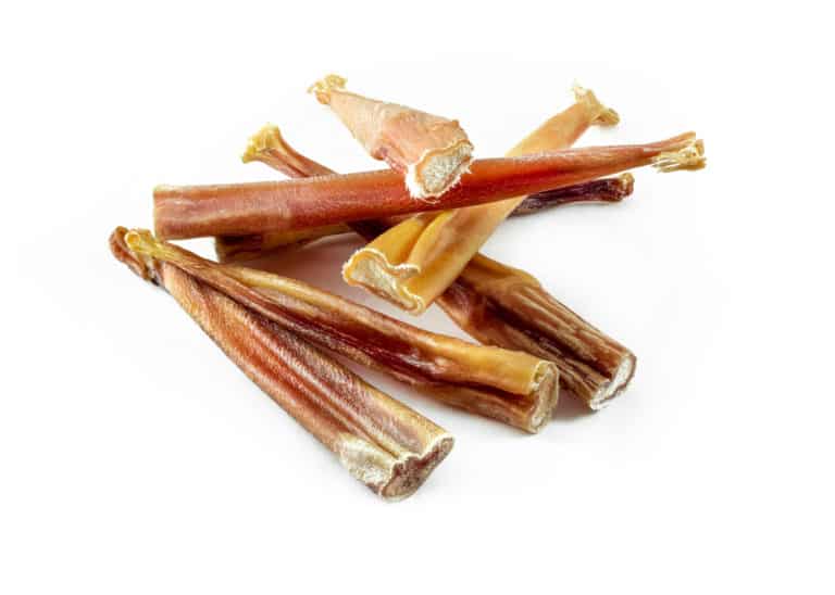 How Long Should a Puppy Chew on a Bully Stick?