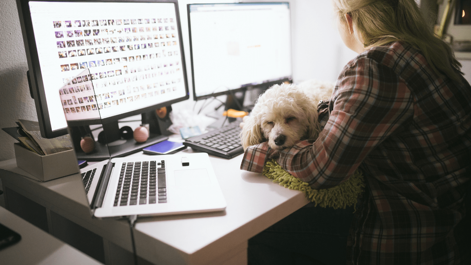 Dogs in the WorkPlace DogTownSA