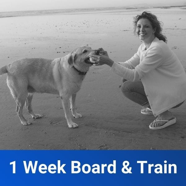 1 Week Freedom Board & Train Off Leash K9 Training of Fresno