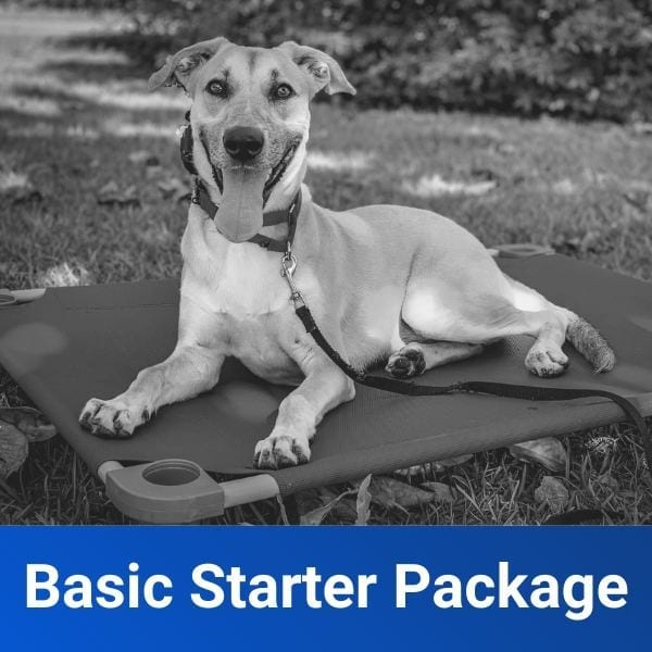 Basic Obedience Starter Package Off Leash K9 Training of Fresno