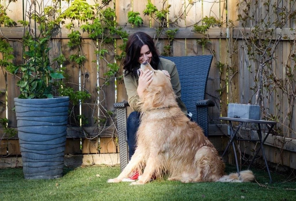 Dog Trainer Vancouver. Puppy training, reactive dogs, life skills and more.