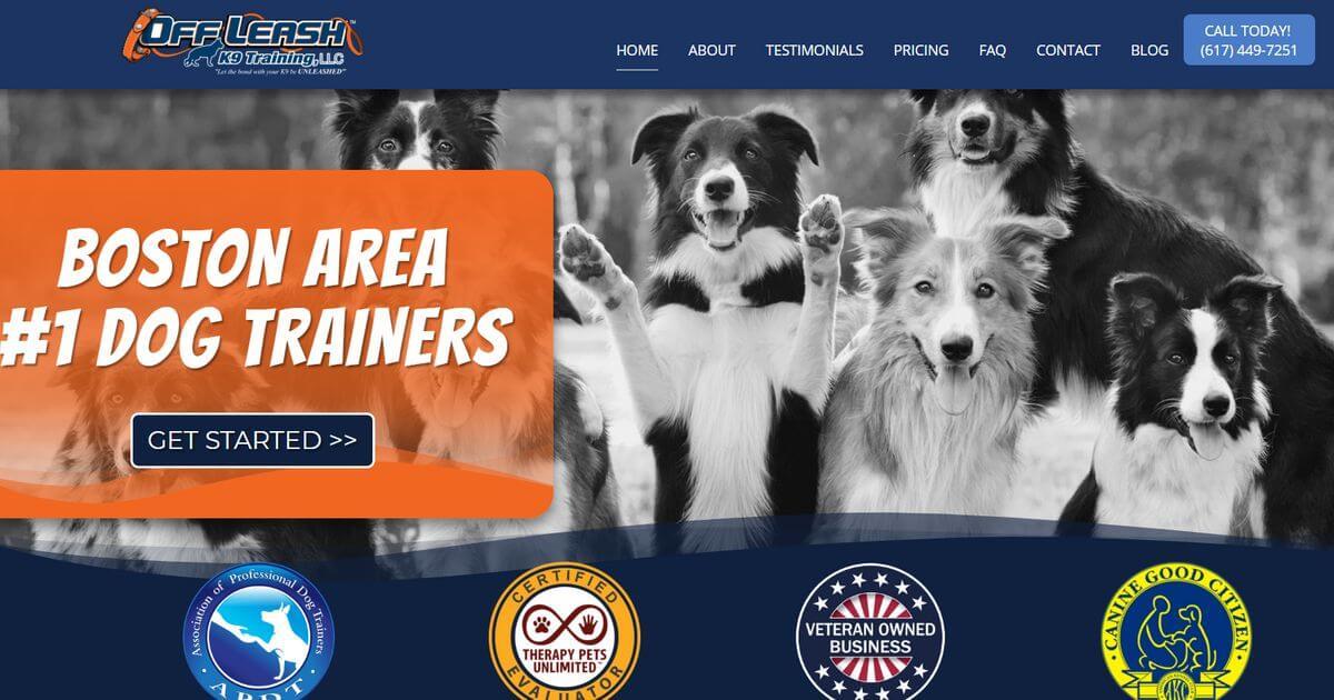 Home Boston Dog Training Dog Trainer Boston