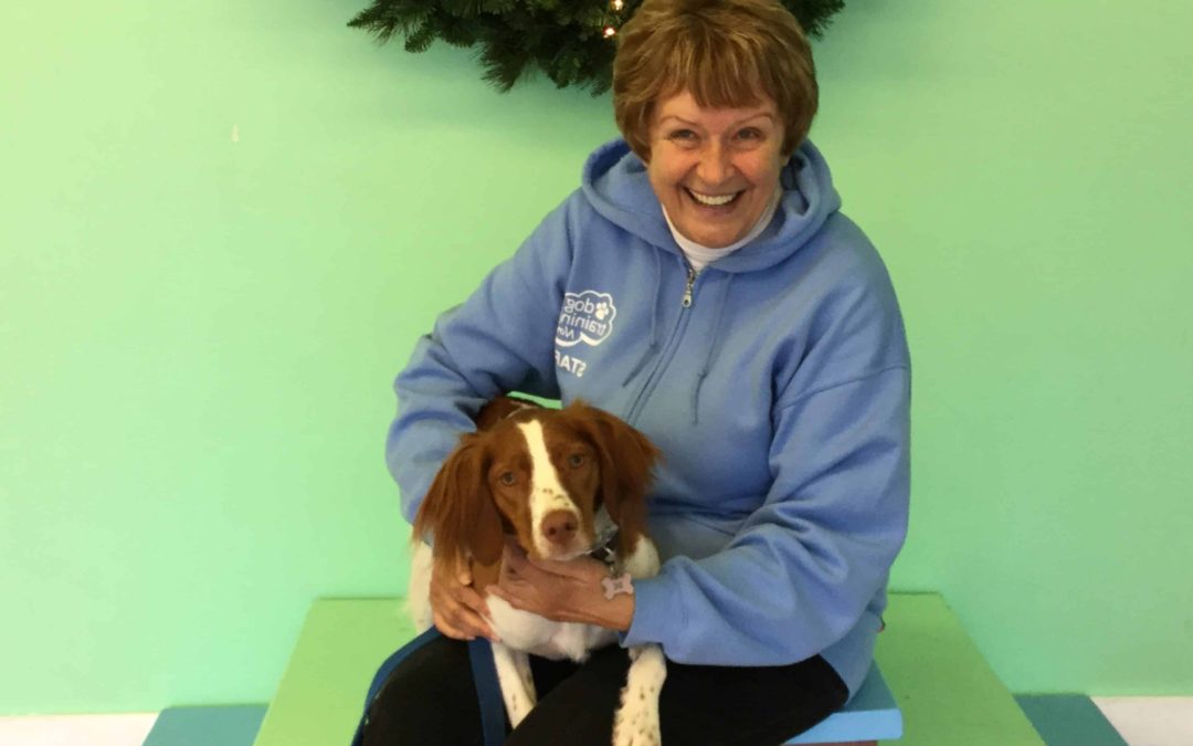 Meet the Dog Training Now Staff Jackie Dog Training Now
