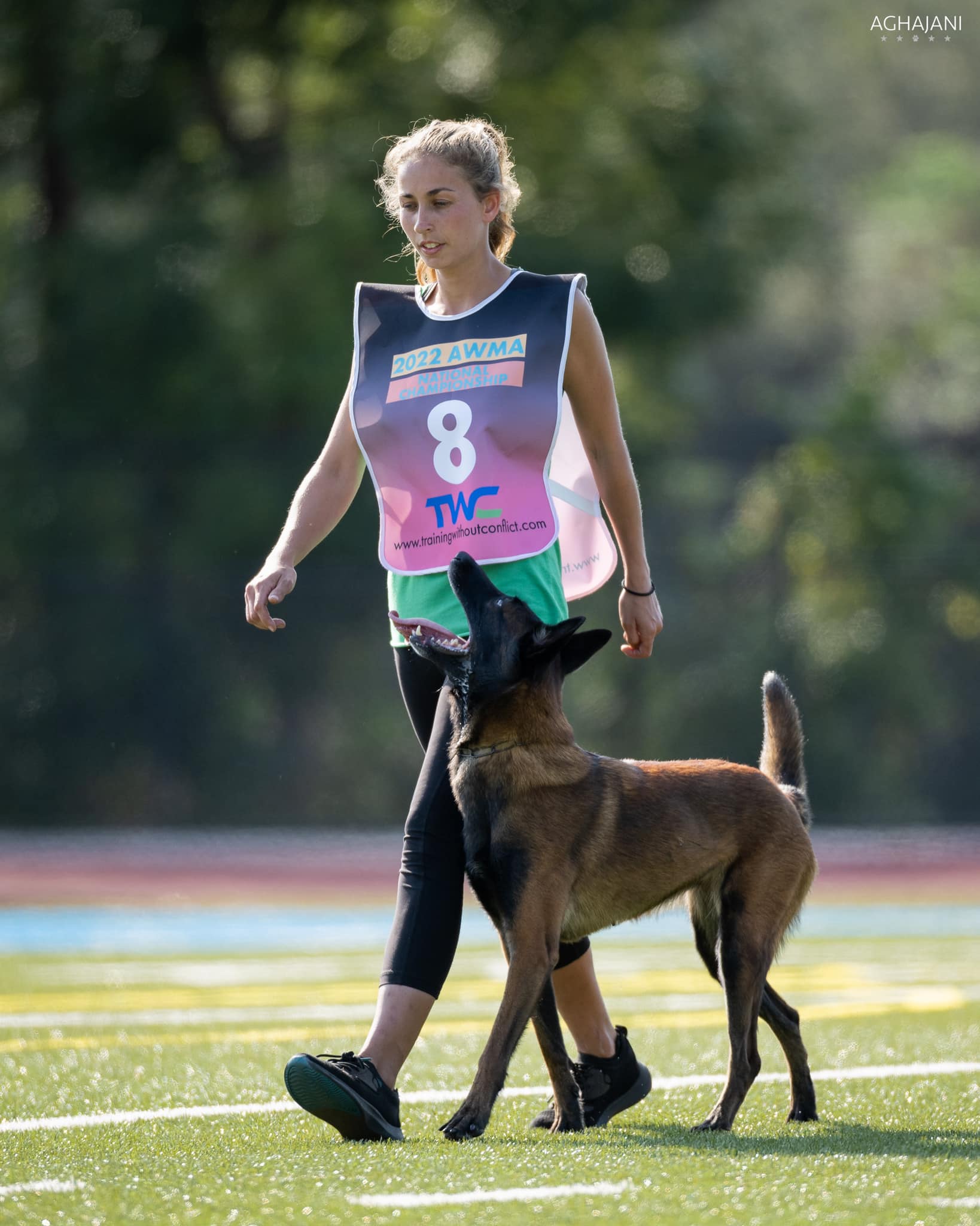 Taylor Fay Dog Training Expert Dog Training Tampa Bay