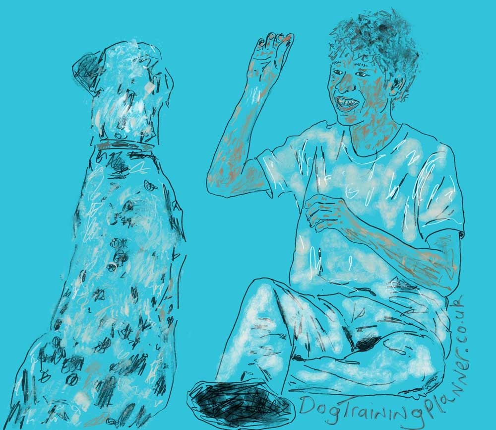 Dog Training Reward System The Modern Approach