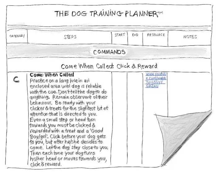 How to Write a Dog Training Plan In 3 Easy Steps