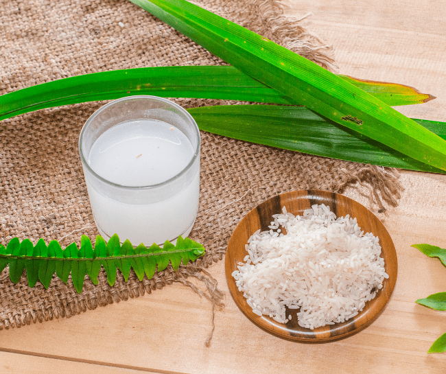 How to Stop Diarrhea in Dogs Naturally 9 Best Tips Dog