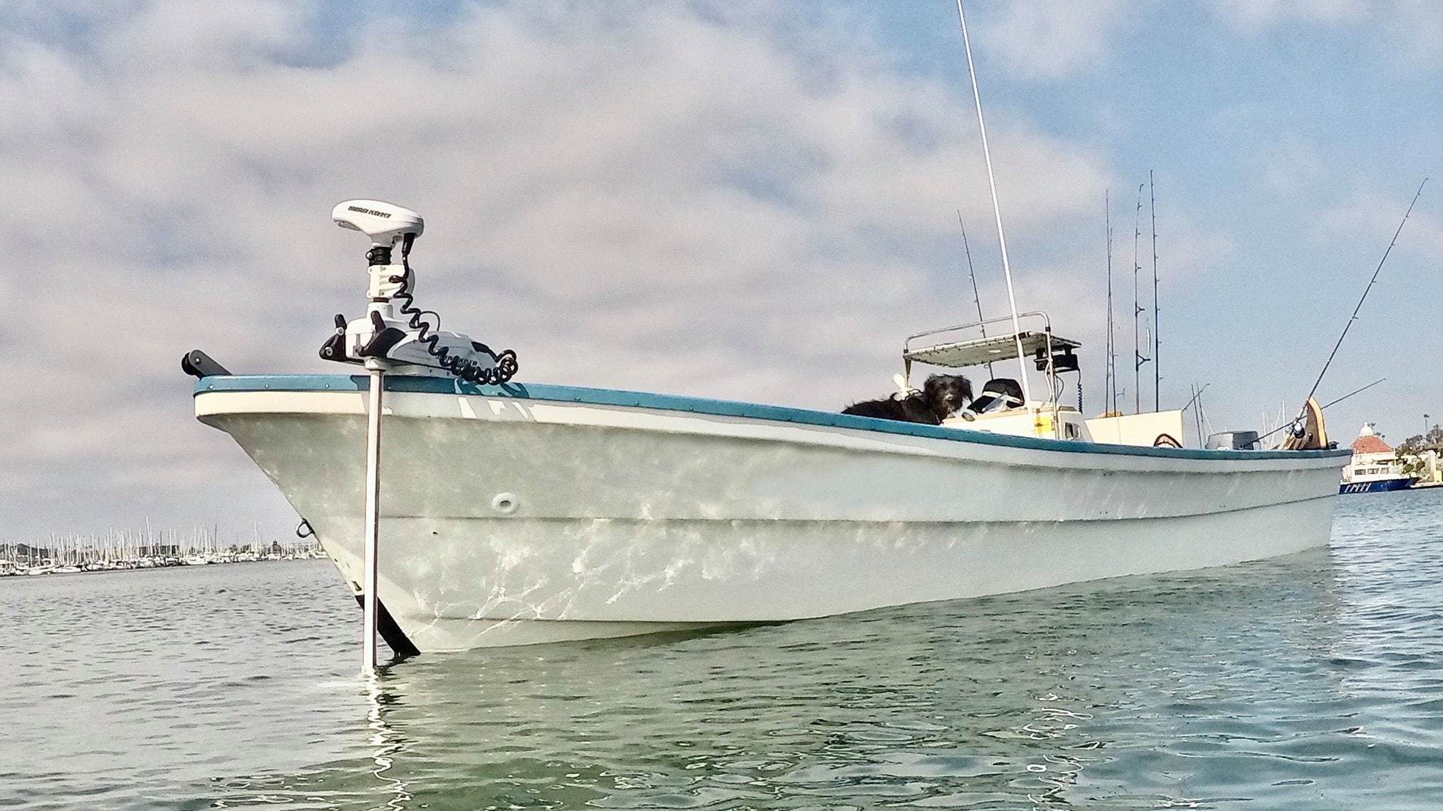 Dogfriendly San Diego Boat Charters