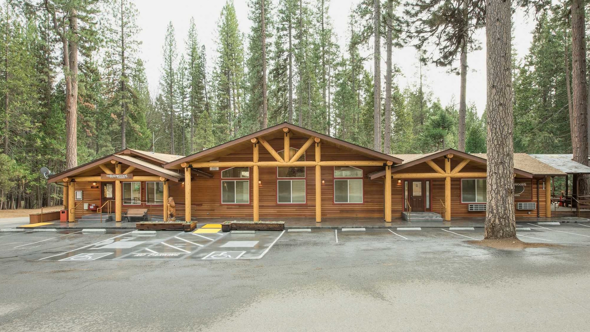 Paradise in the Park The Redwoods In Yosemite