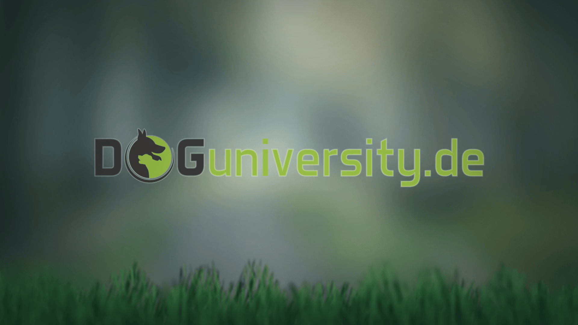 Das Online Welpentraining Doguniversity