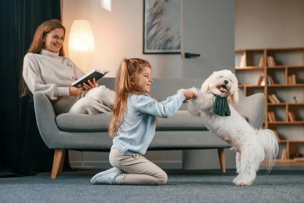 How To Prepare Your Home For A New Puppy? 5 Useful Tips Dog Vet Tips