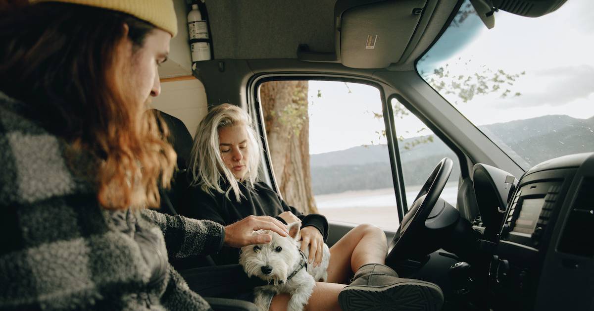 How to Travel Safely with Your Dog (Ultimate Guide)