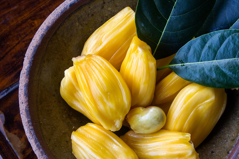 Can My Dog Eat Jackfruit? DogWish