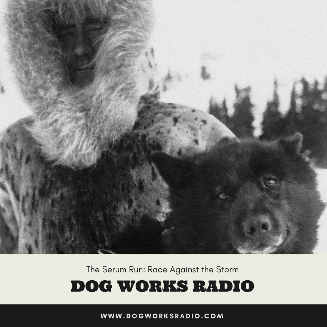 The Serum Run Race Against the Storm Dog Works Radio