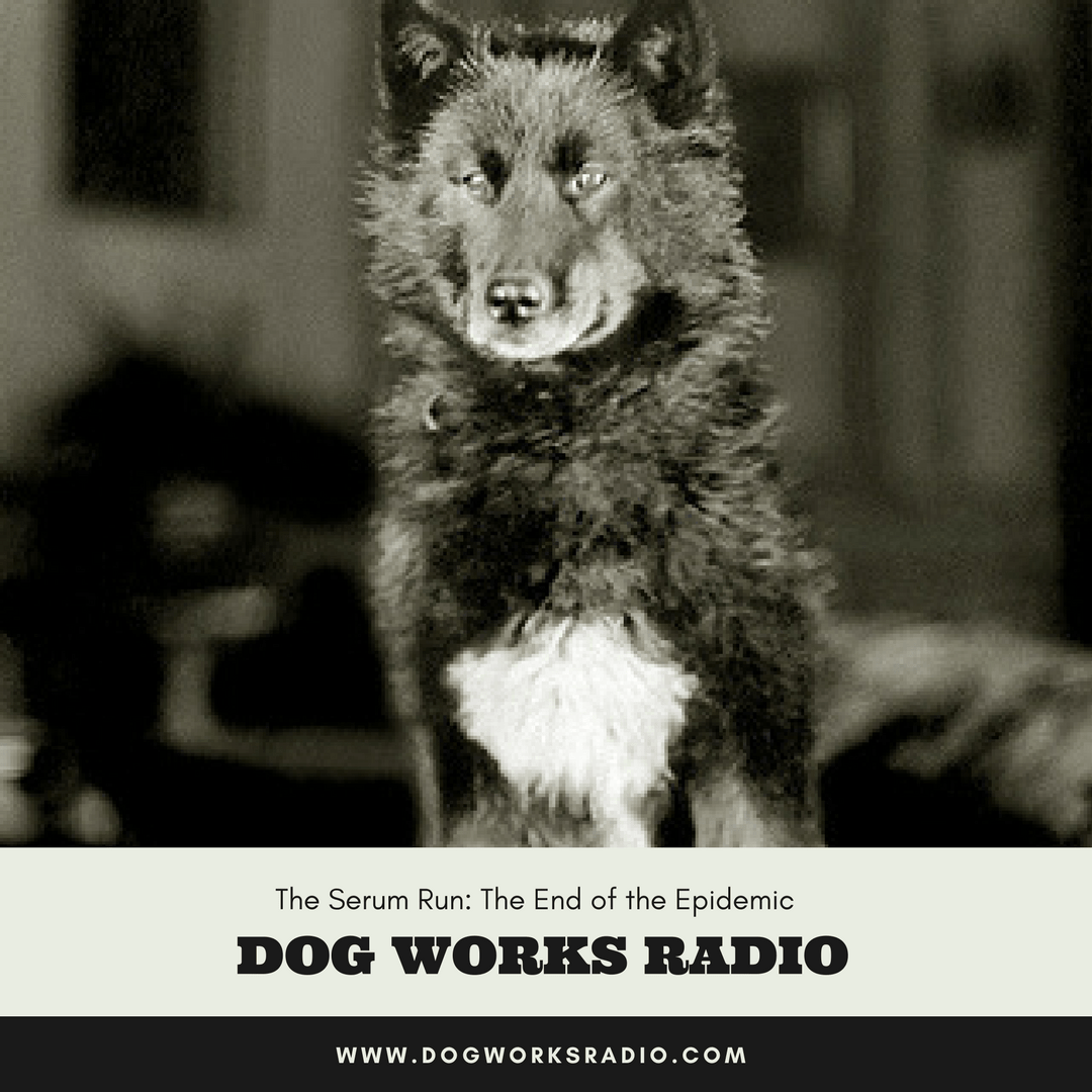 The Serum Run The End of the Epidemic Dog Works Radio