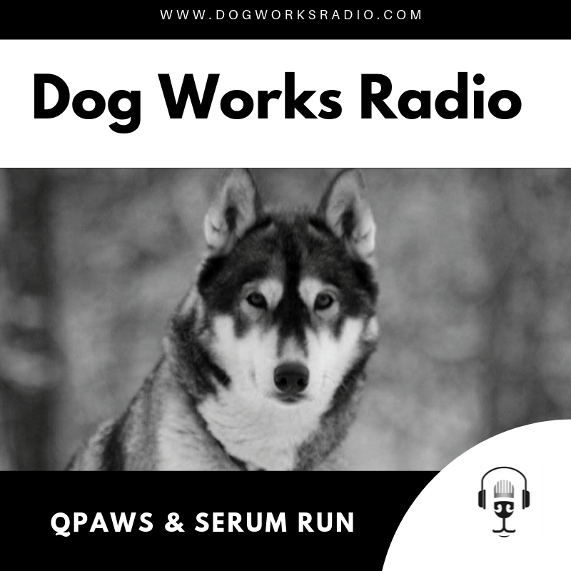 QPAWS and 2020 Serum Run Dog Works Radio