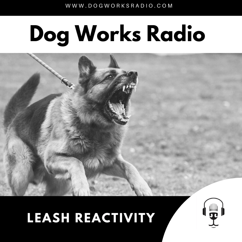 Leash Reactivity Dog Works Radio