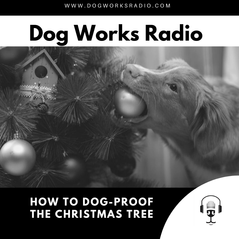 How to DogProof the Christmas Tree Dog Works Radio