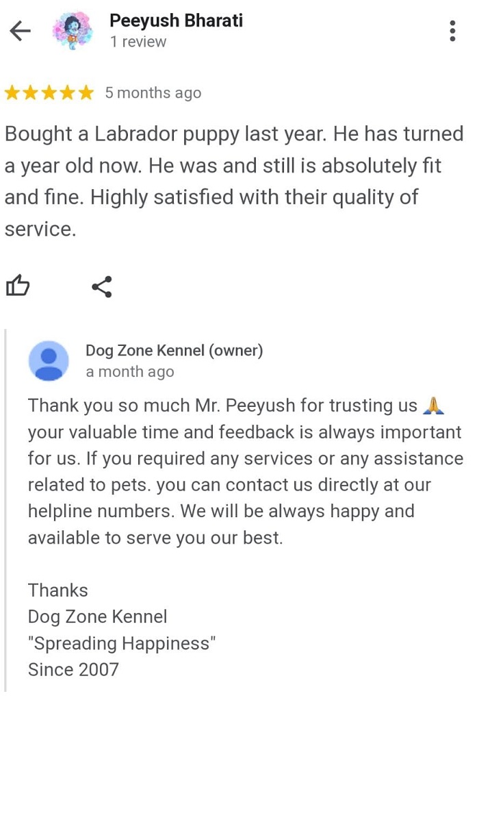 Puppies For Sale In Gurgaon Dog Zone Kennel