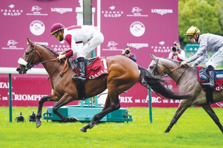 horse Archives Doha News Qatar