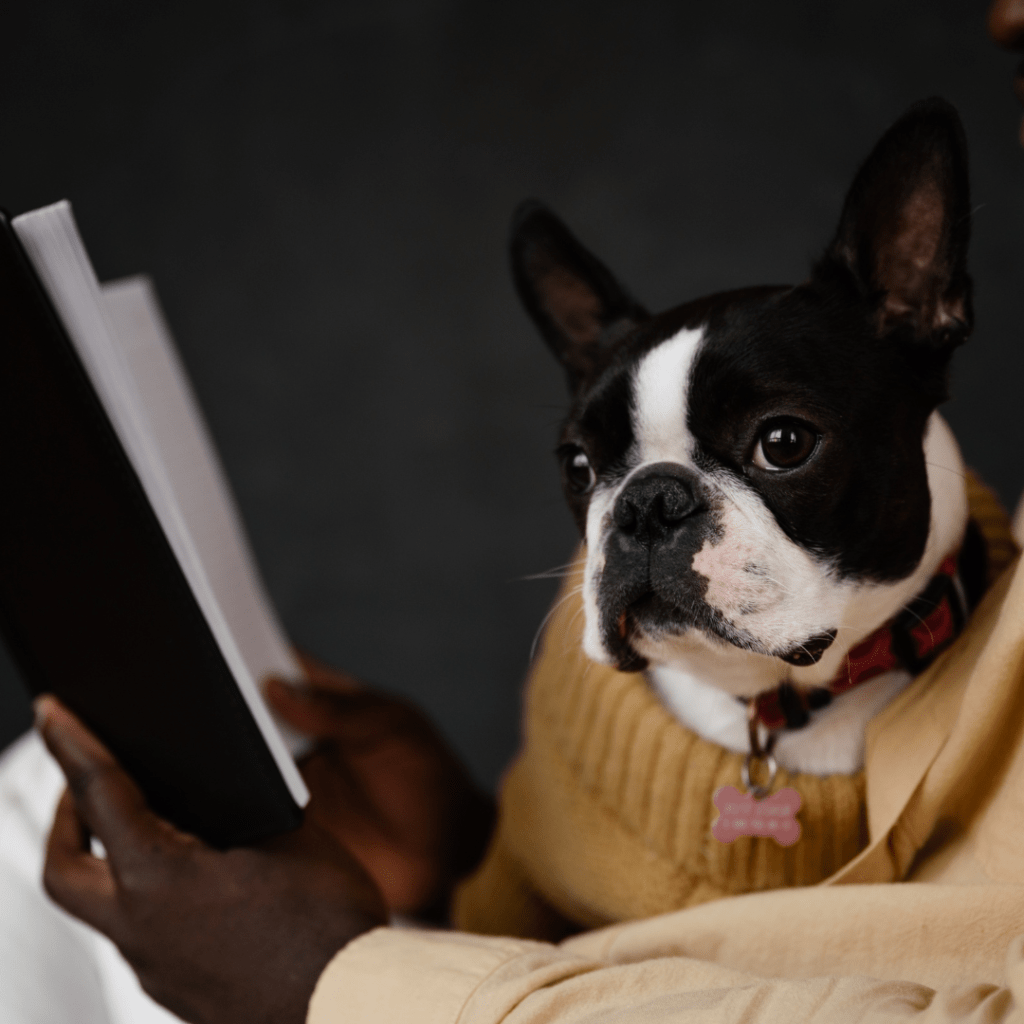 Dog Training Resources Doherty Dog Services ourfavourites