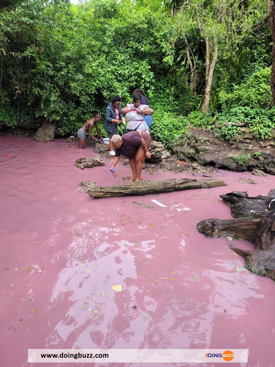 🔴 L'énigme D'Isinuka Une "source Miraculeuse" D'Afrique Du Sud Censée
