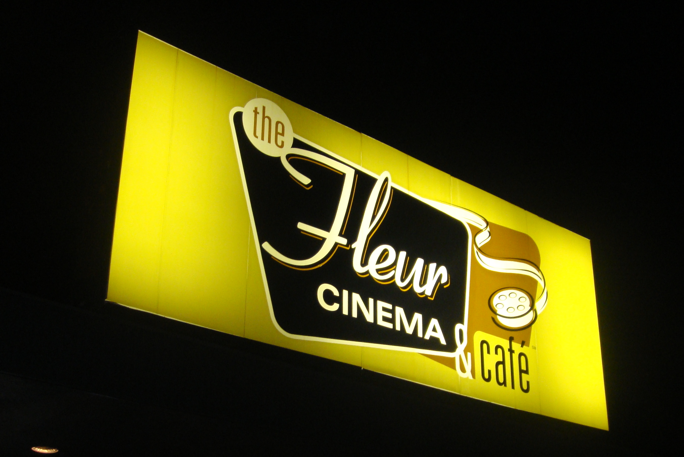 05. The Fleur Cinema Doing DSM