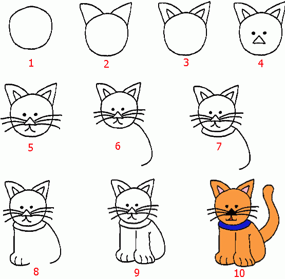 Collection 32+ Images how do you draw a cat step by step Updated