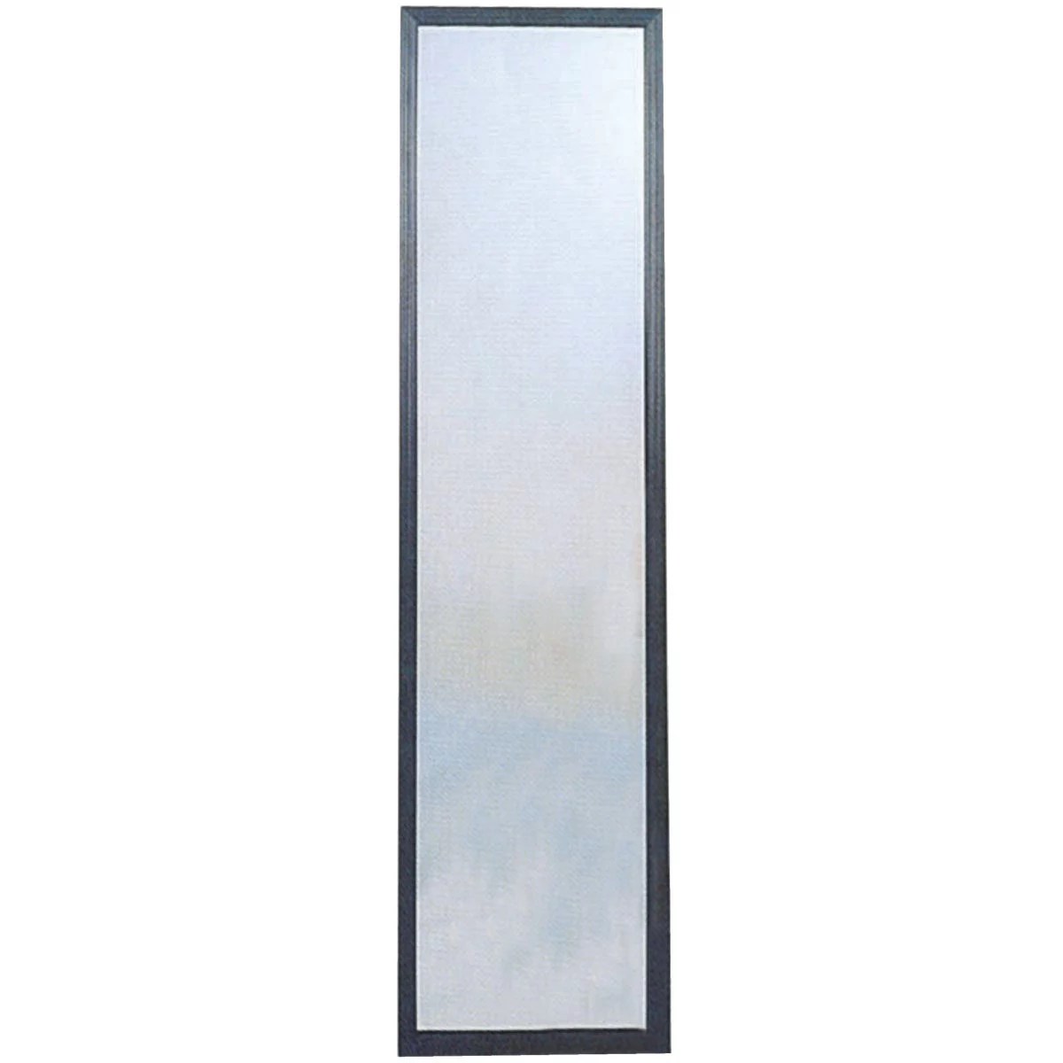 Home Decor Innovations Suave 13 In. x 49 In. Black Plastic Door Mirror