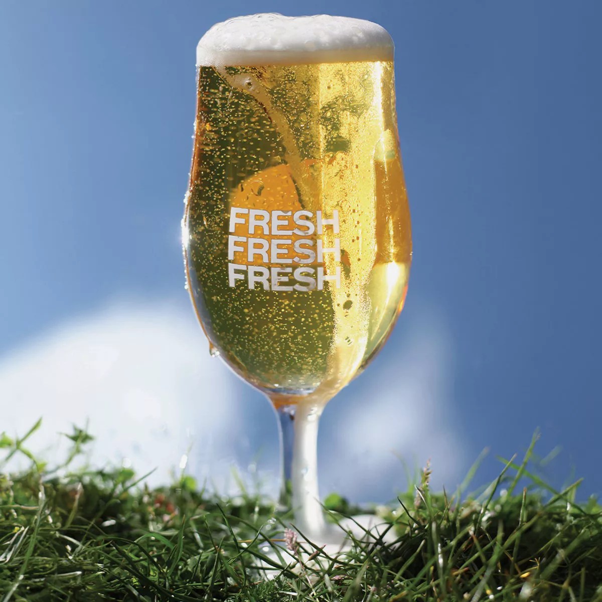 Pinter En Casa Mexican Lager Beer Brewing Pack Do it Best