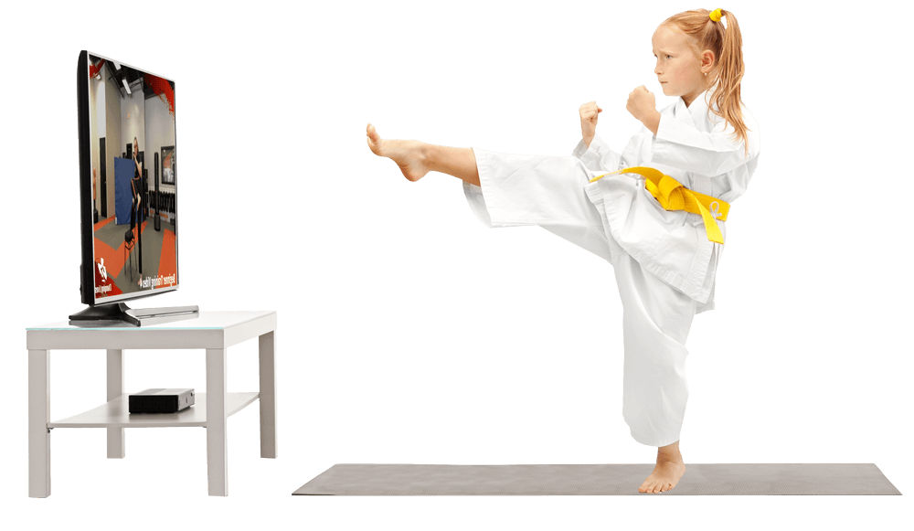 Virtual Martial Art Training