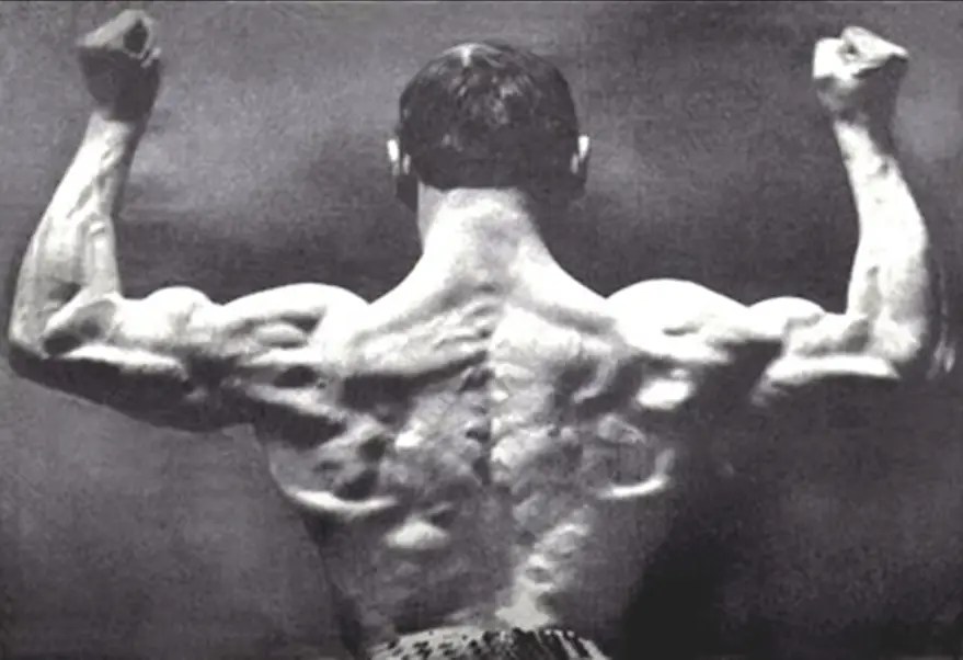 Are chest expanders effective? Dojo Mart