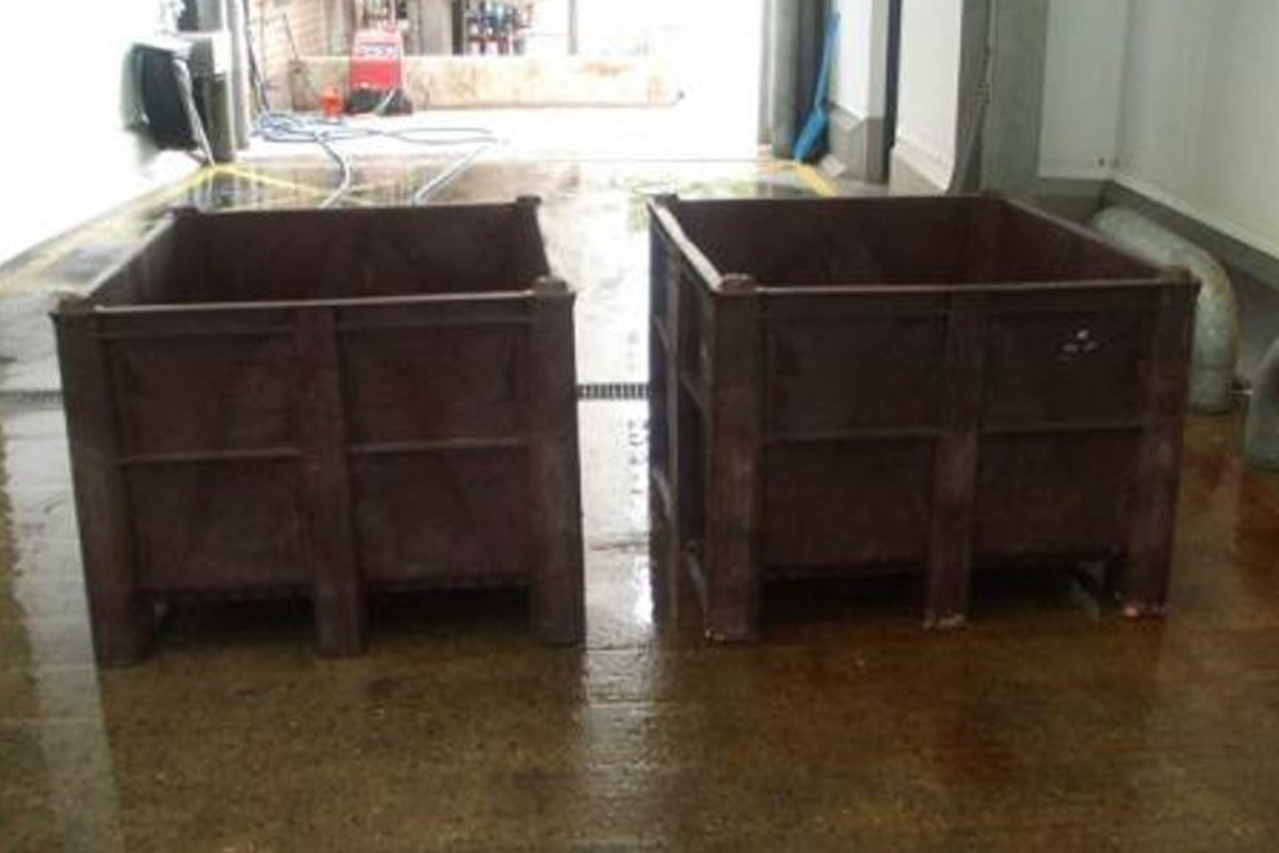 Dolavs show their beef at Irish meat processors Dolav