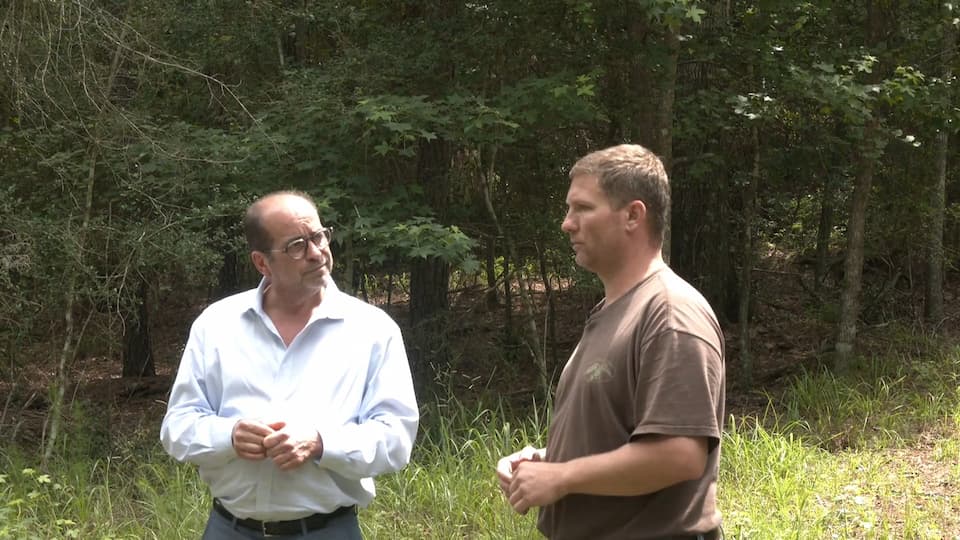 The Road To Ruin Dolcefino Consulting