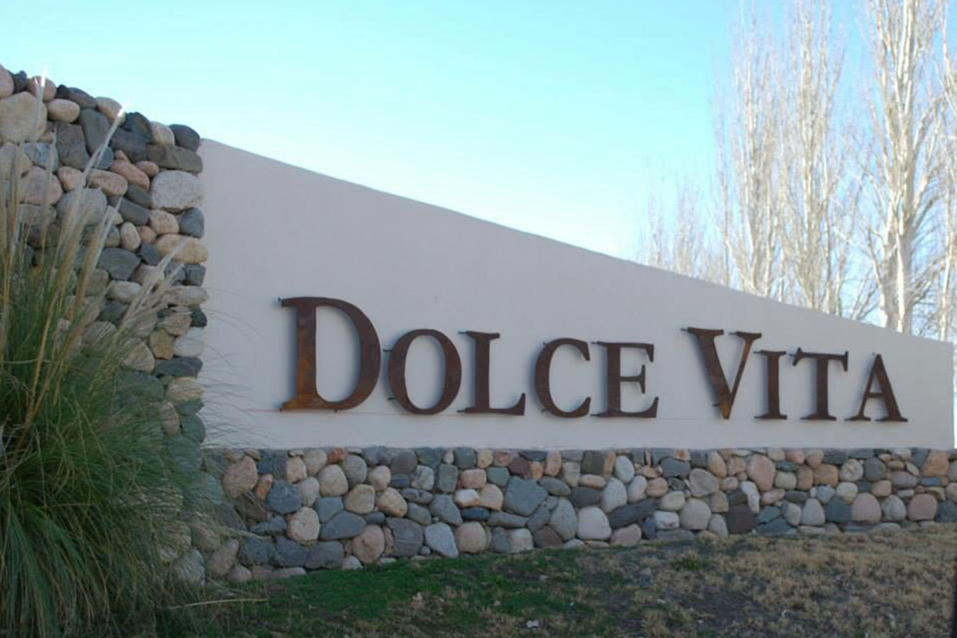 Villa Dolce Vita Vineyards Valle de Uco Mendoza Real Estate For Sale in