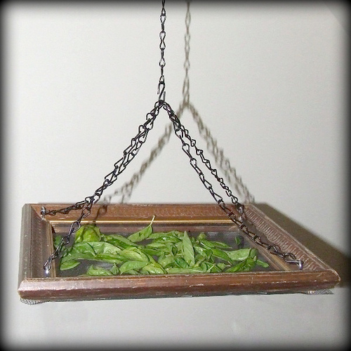Make a Hanging Herb Drying Rack Dollar Store Crafts