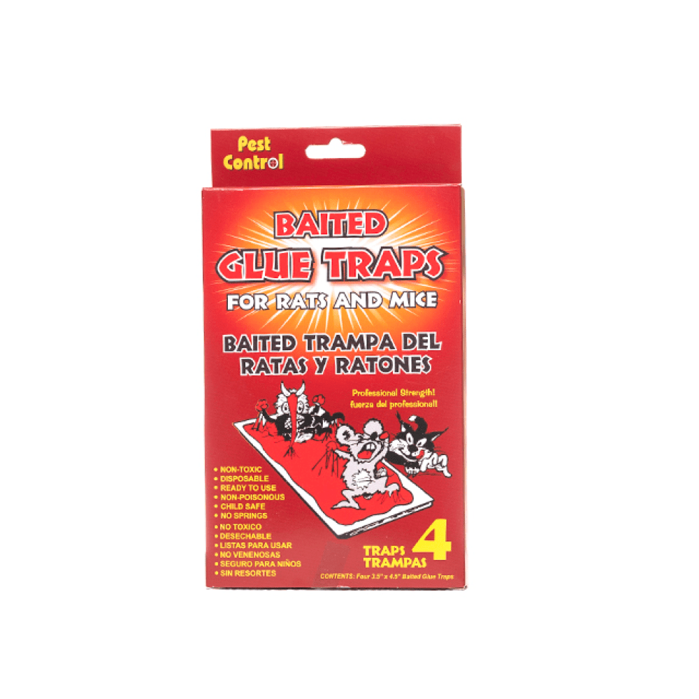 Pest Control Baited Glue Traps Dollarwise Caribbean