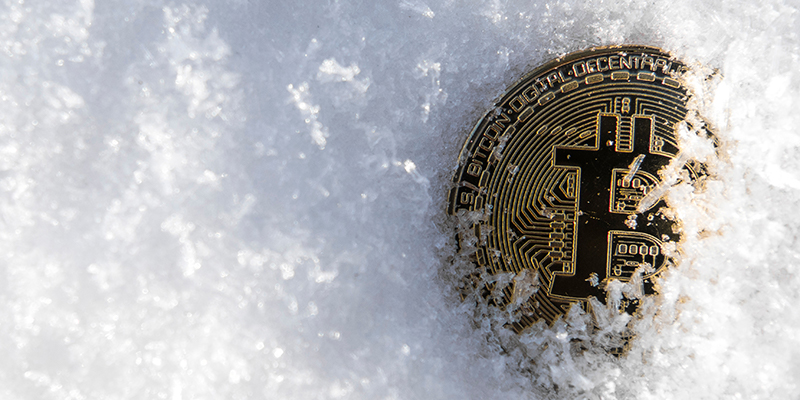 Does the crypto winter end and growing season begins?