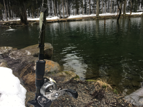 無性に朽木渓流魚センターで釣りたくなって バス釣りブログ バス釣りとWordPress