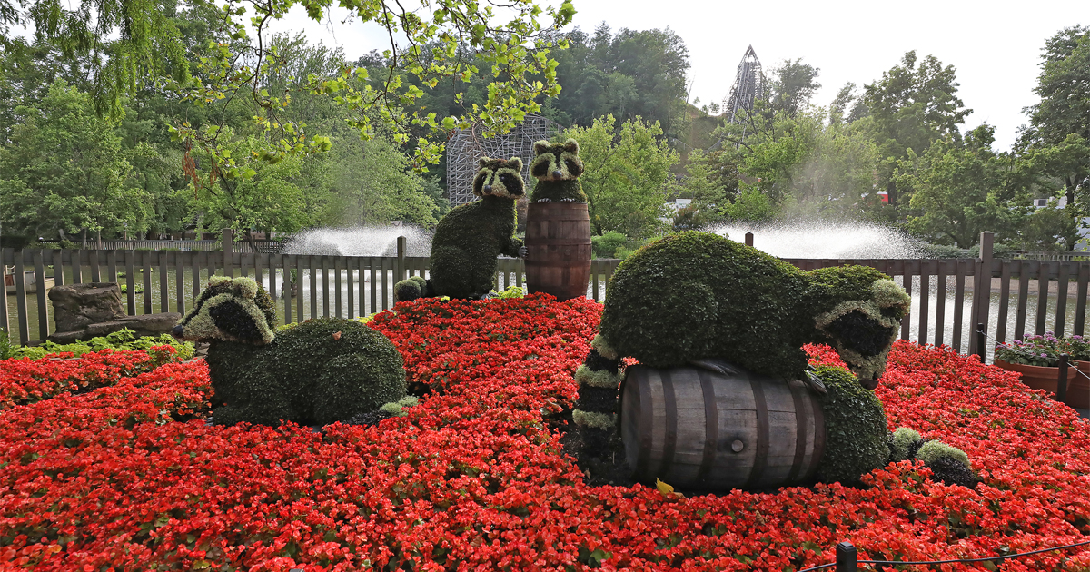 Vote For Dollywood In USA Today 10Best Readers’ Choice Awards